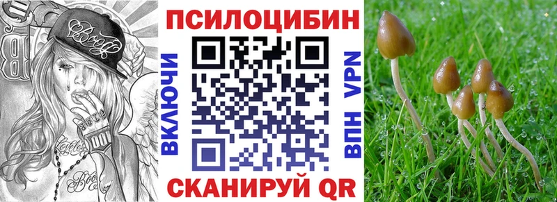 Купить закладки  Лосино-Петровский  Галлюциногенные грибы MAGIC MUSHROOMS 